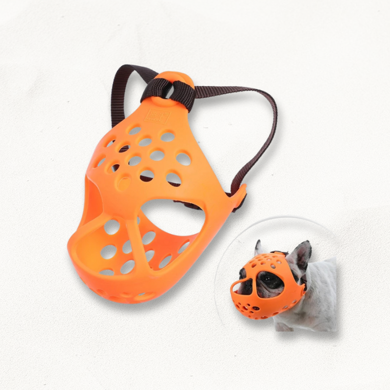 Muselière museau court | ShortMuzzle PetitePromenade