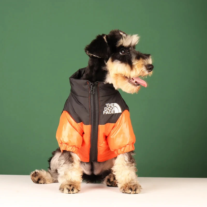 Doudoune chien | The Dog Face - PetitePromenade