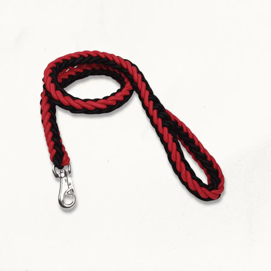 Laisse en Corde pour Chien | RockLine | PetitePromenade