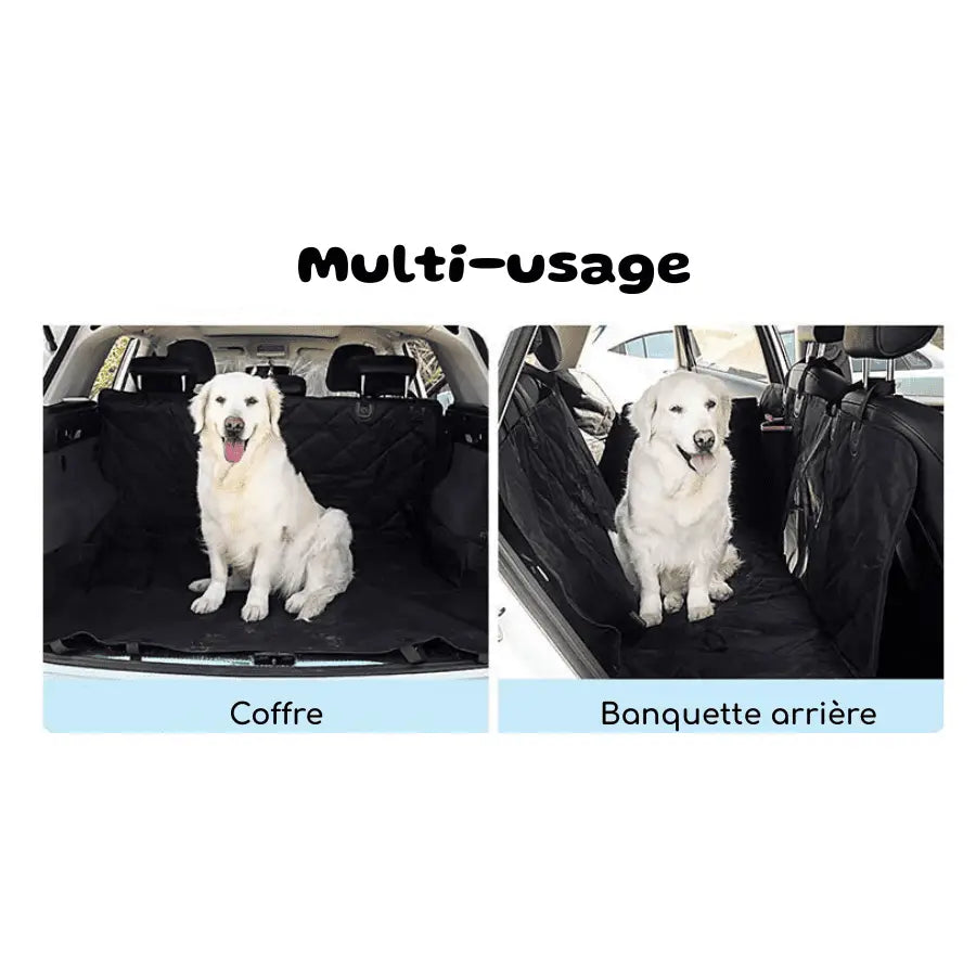 Protection Banquette Voiture pour Chien | CarPet - PetitePromenade