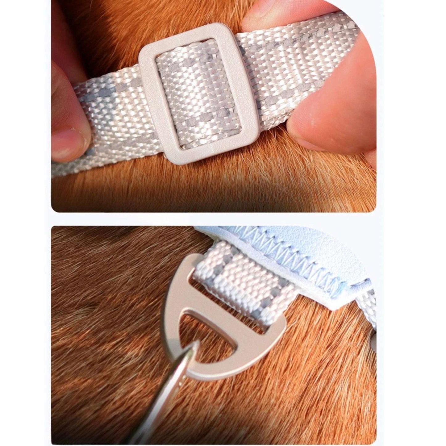 Harnais en X pour Chien | DualBand
