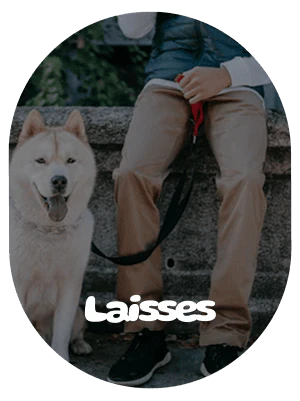 Collection Laisse