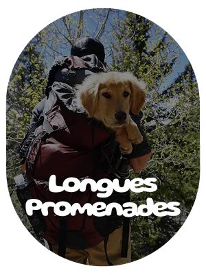 Longues Promenades Collection