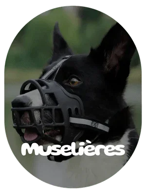 Muselières