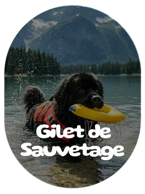 Gilet de Sauvetage