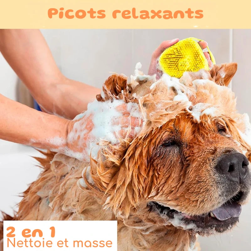 Brosse toilettage chien | FoamBrush - PetitePromenade