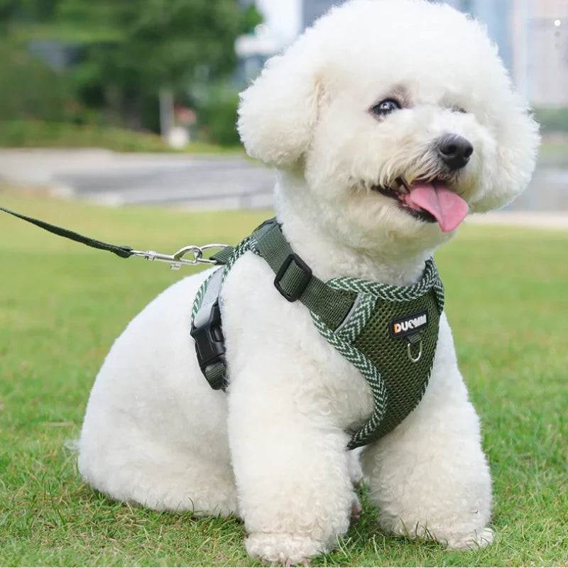 Harnais laisse chien | DuoFlex - PetitePromenade