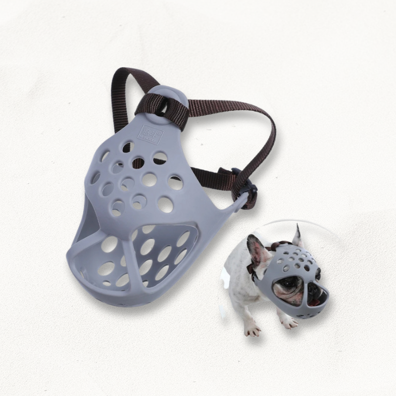 Muselière museau court | ShortMuzzle PetitePromenade
