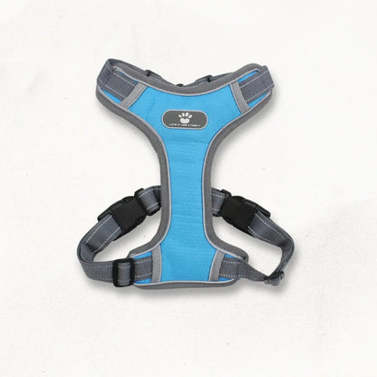 Harnais chien grande taille | PowerFit PetitePromenade