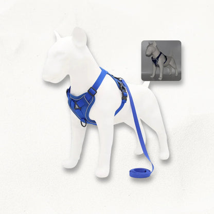 Harnais en Y petit chien | SmallY