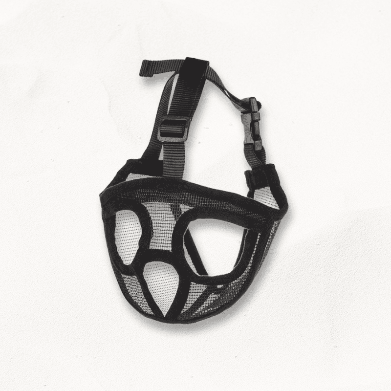 Muselière pour Bouledogue Français | FlexiMask PetitePromenade