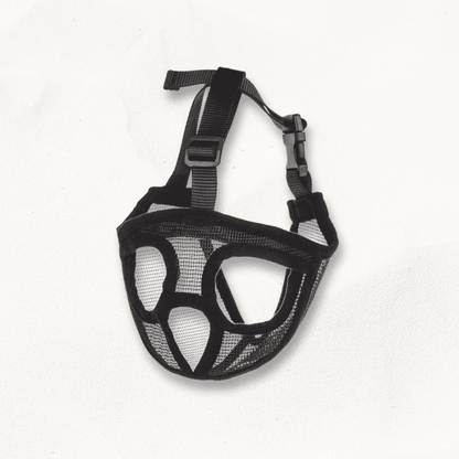 Muselière pour Bouledogue Français | FlexiMask PetitePromenade