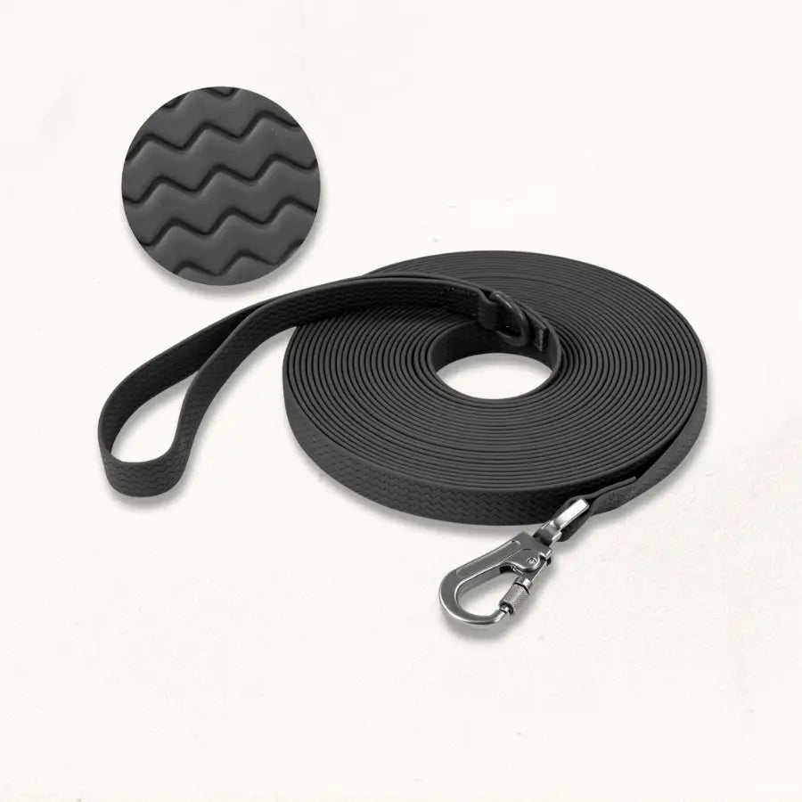 Longe pour Chien Waterproof | AquaStretch | PetitePromenade