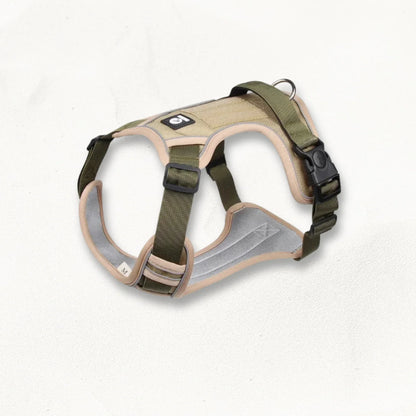 Harnais en Y pour chien | PawFit PetitePromenade