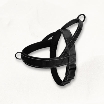 Harnais en T avec poignée | Titan Gear