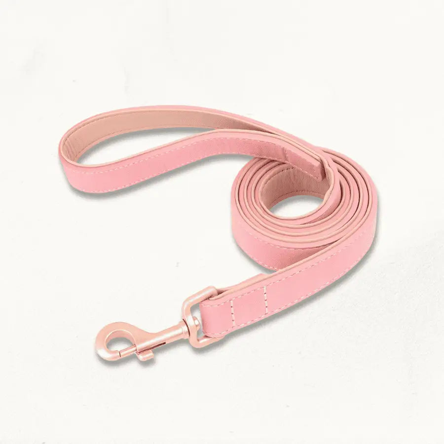 Laisse en Cuir pour Chien | Softy | PetitePromenade