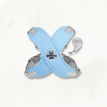 Harnais en X pour Chien | DualBand PetitePromenade