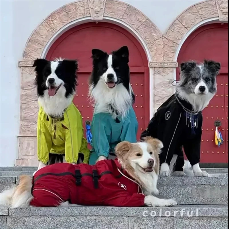 Manteau de pluie pour chien | CombiDog - PetitePromenade