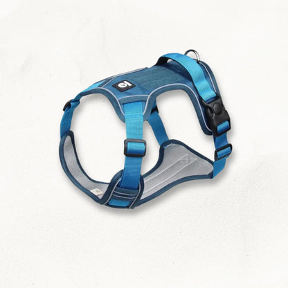 Harnais en Y pour chien | PawFit PetitePromenade