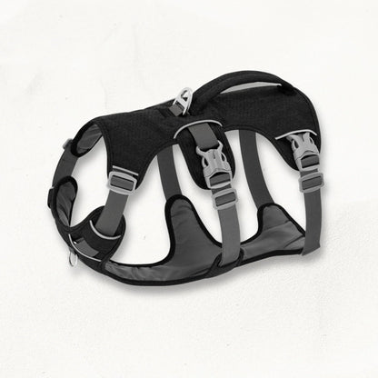 Harnais Whippet | AeroWrap Control PetitePromenade