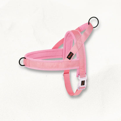 Harnais en T pour chien | Loopie PetitePromenade