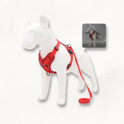 Harnais en Y petit chien | SmallY