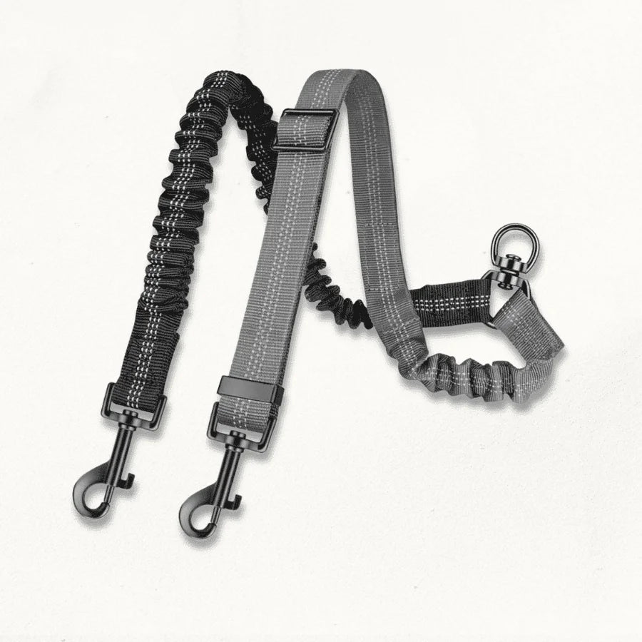 Double Laisse pour Chiens | FlexiBond