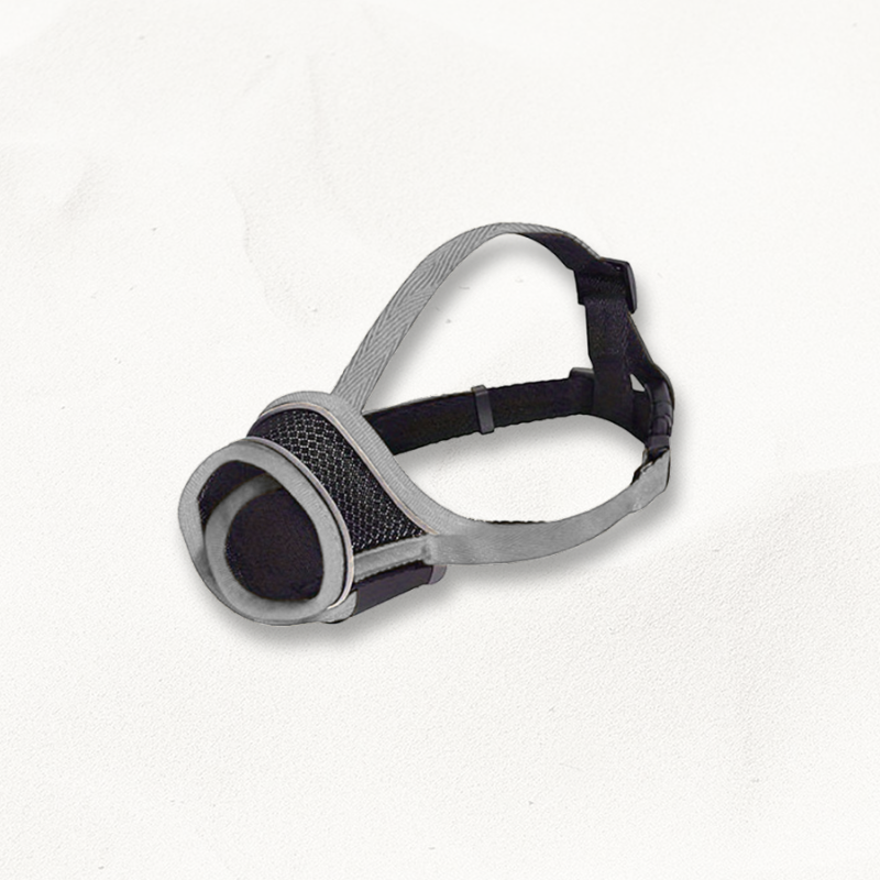 Muselière Scratch | EasyGrip PetitePromenade