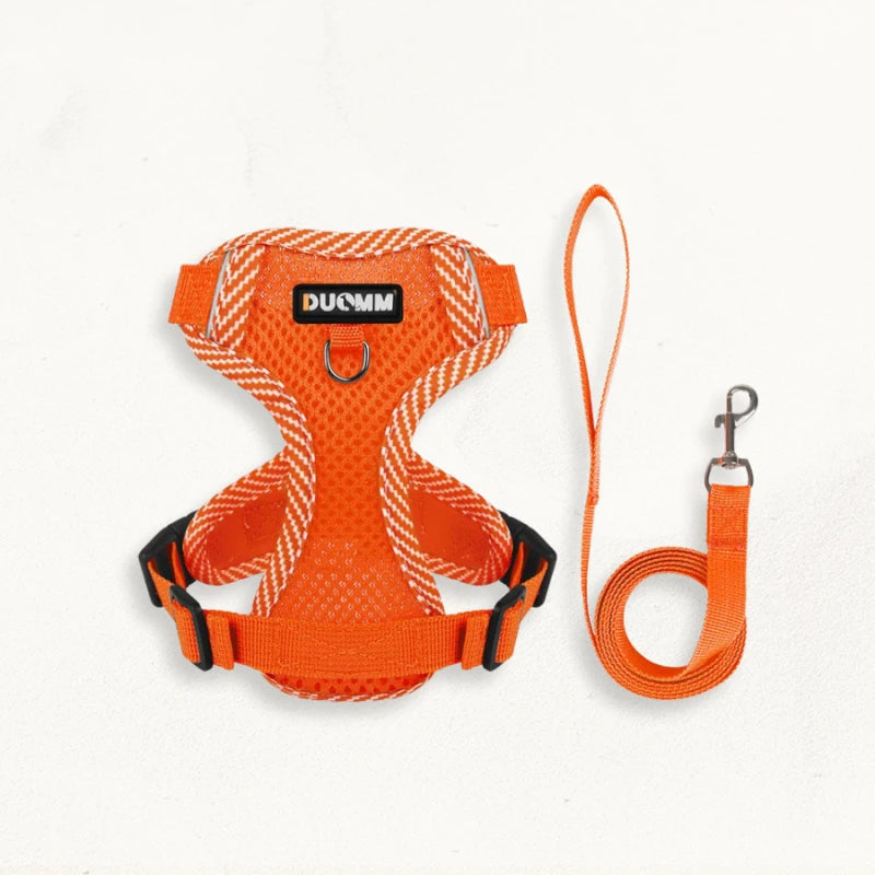 Harnais laisse chien | DuoFlex - PetitePromenade