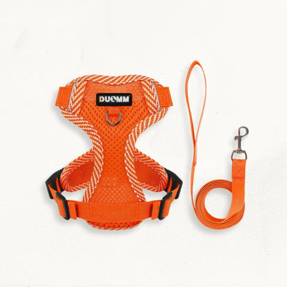 Harnais laisse chien | DuoFlex - PetitePromenade