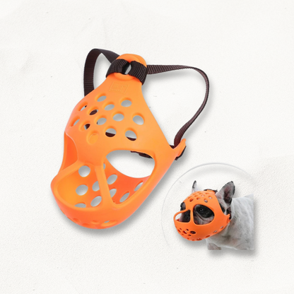 Muselière museau court | ShortMuzzle PetitePromenade
