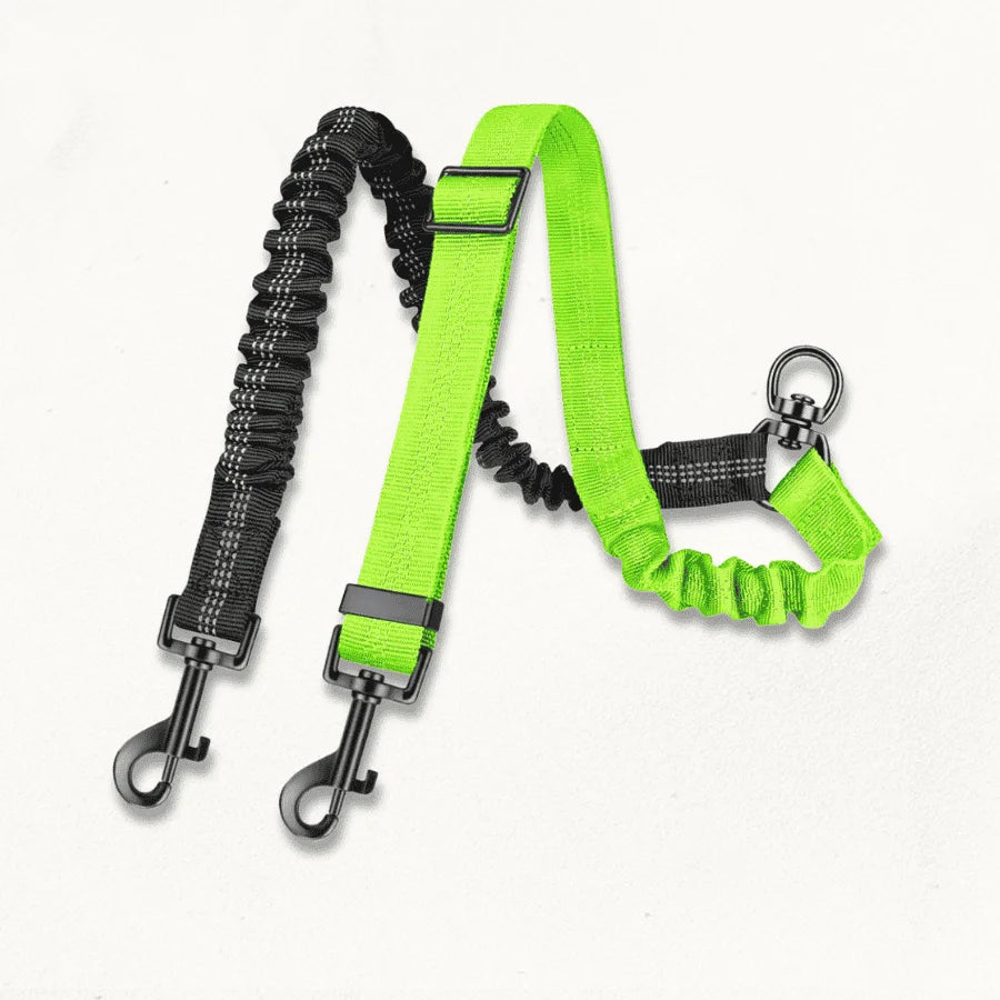 Double Laisse pour Chiens | FlexiBond