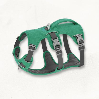 Harnais Whippet | AeroWrap Control PetitePromenade