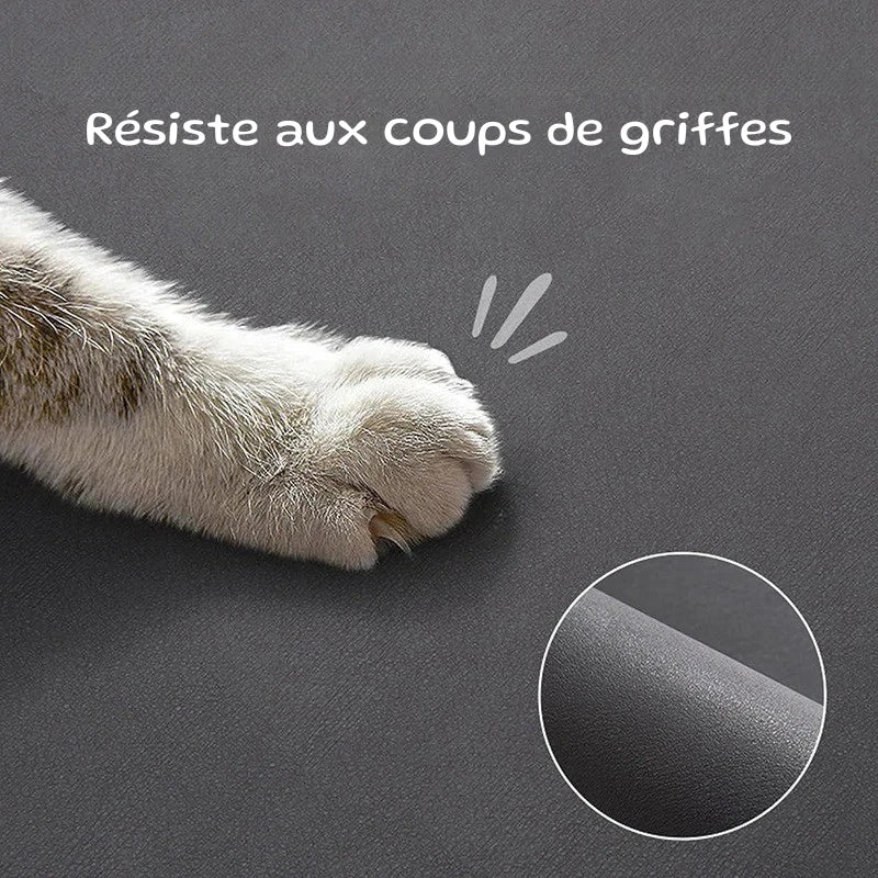 Tapis gamelle pour chien | PetZen | PetitePromenade