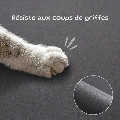 Tapis gamelle pour chien | PetZen | PetitePromenade