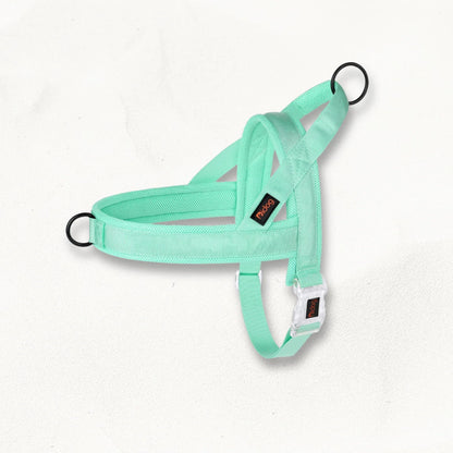 Harnais en T pour chien | Loopie PetitePromenade