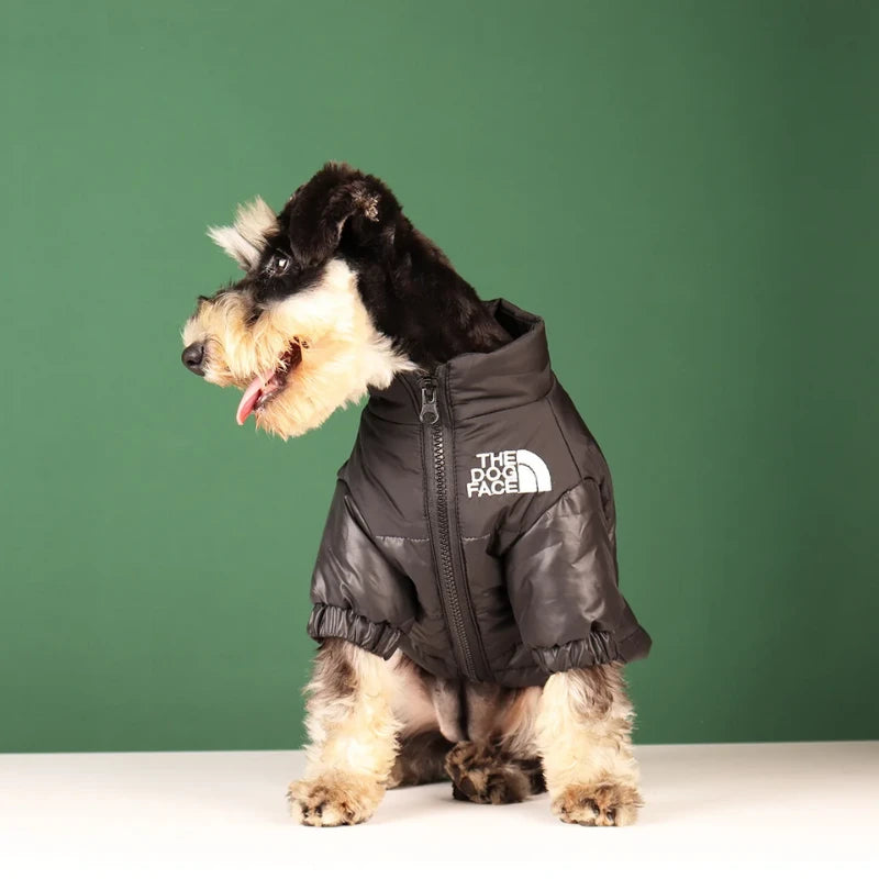 Doudoune chien | The Dog Face - PetitePromenade