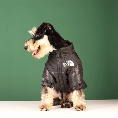 Doudoune chien | The Dog Face - PetitePromenade