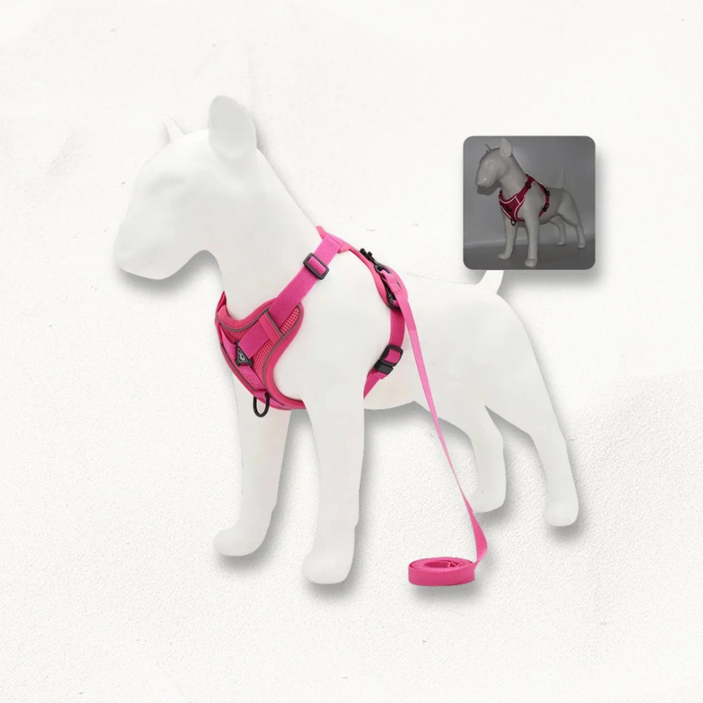 Harnais en Y petit chien | SmallY