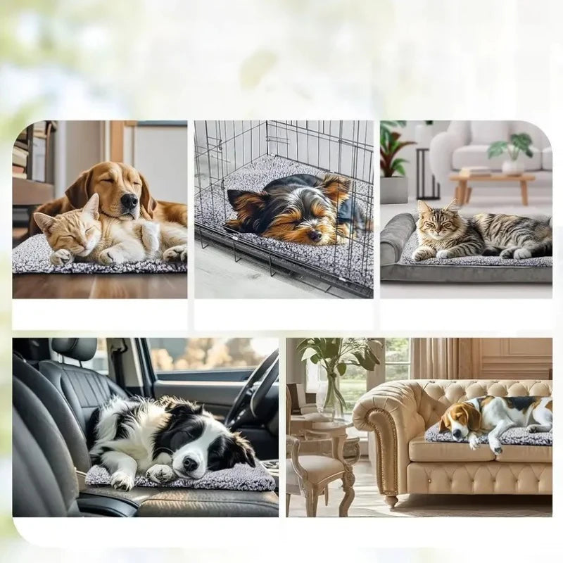 Tapis chauffant chien | WarmPup | PetitePromenade