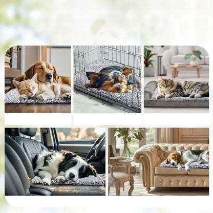 Tapis chauffant chien | WarmPup | PetitePromenade