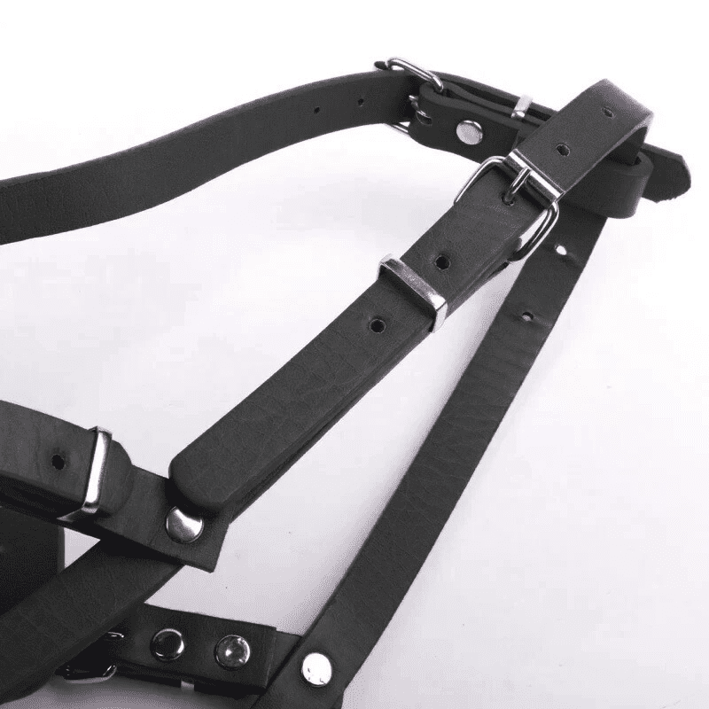 Muselière cage | BlackBark PetitePromenade