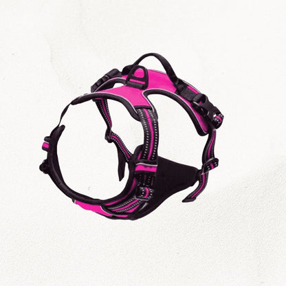 Harnais anti traction grand chien | BoldPaw