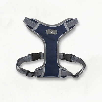 Harnais chien grande taille | PowerFit PetitePromenade