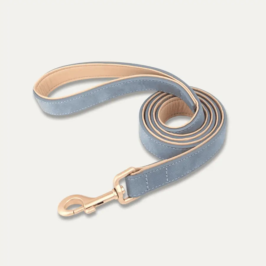 Laisse en Cuir pour Chien | Softy | PetitePromenade