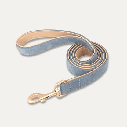 Laisse en Cuir pour Chien | Softy | PetitePromenade