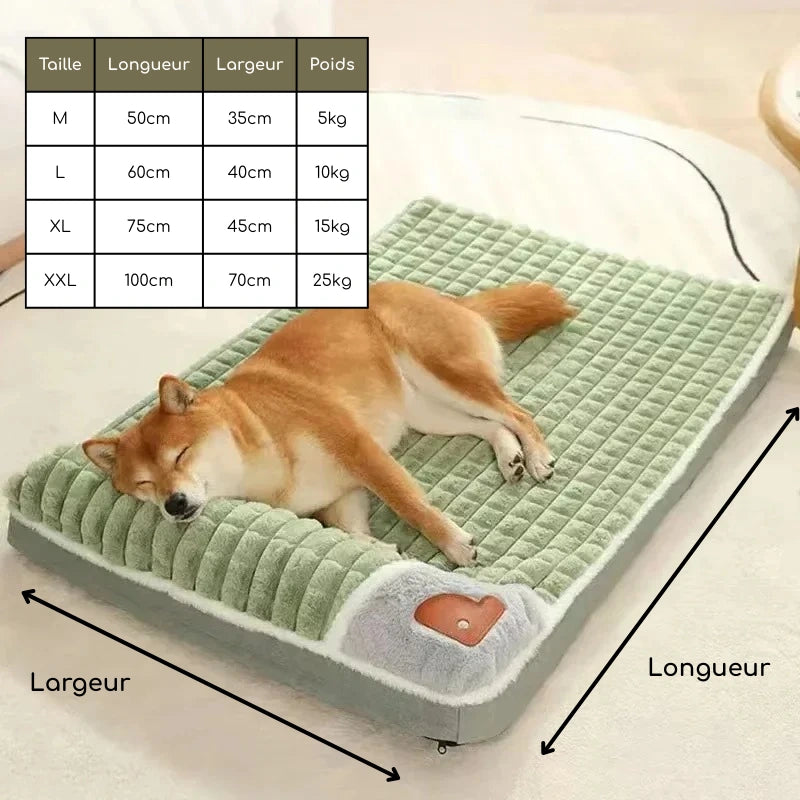 Coussin mémoire de forme pour chien | PuppyCloud
