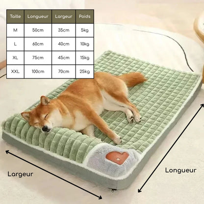 Coussin mémoire de forme pour chien | PuppyCloud