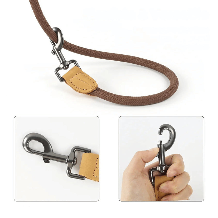 Laisse Mains Libres pour Chien | 