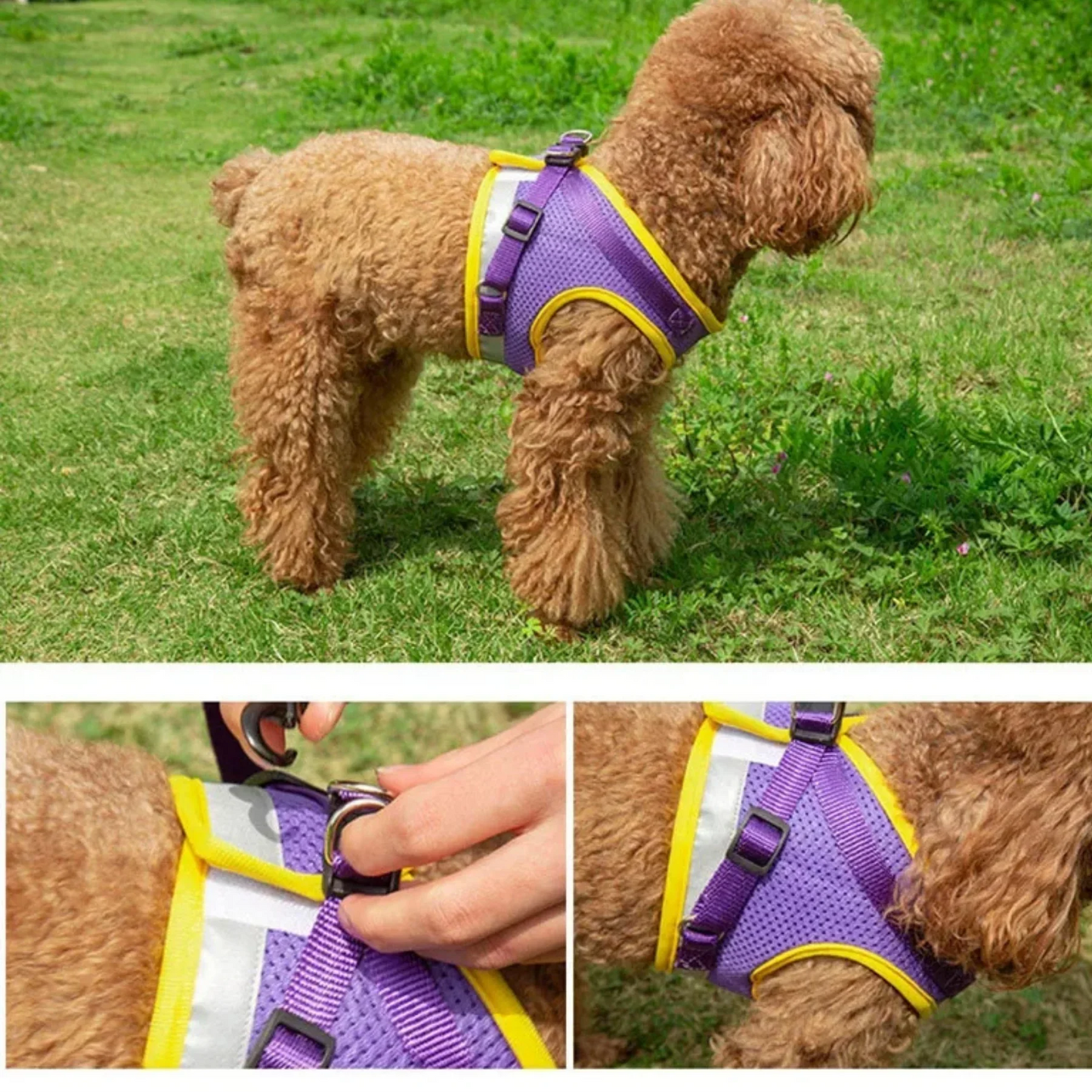 Harnais Reflechissant pour chien | PetitePatrouille PetitePromenade